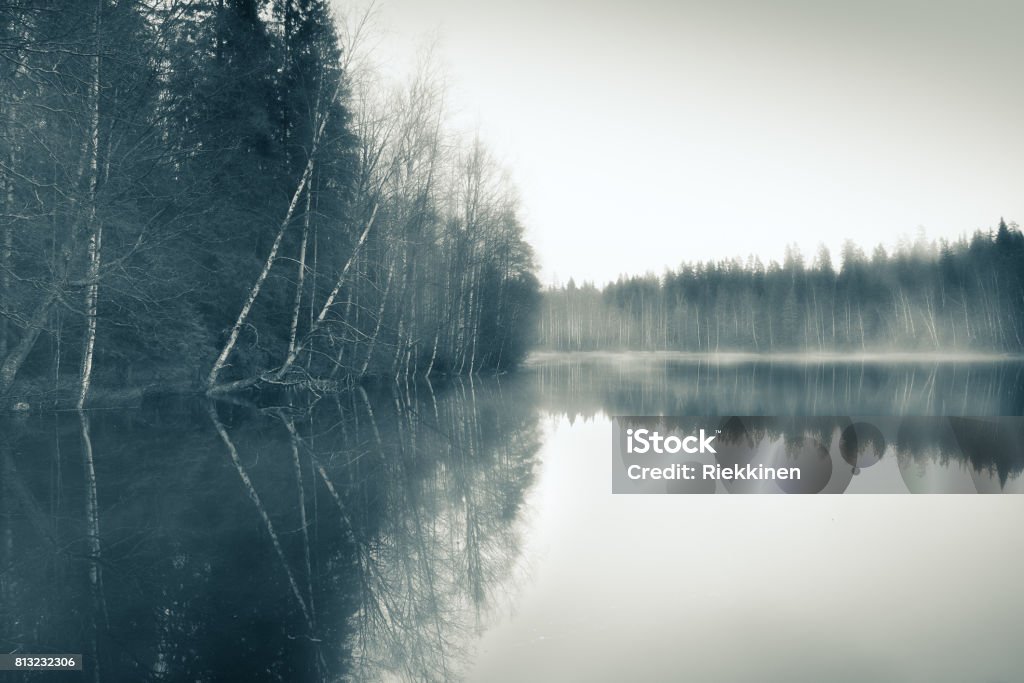 Foggy landscape with gloomy mood and lake at toned photo Lake Stock Photo