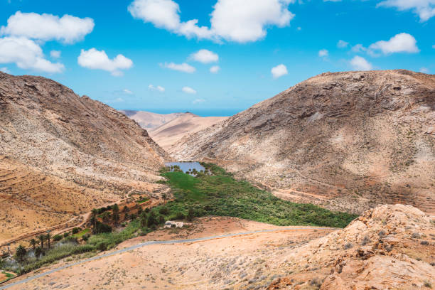 istock Green oasis in the middle of desert 813232852