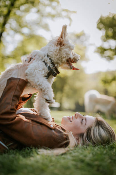 istock Love to play in grass with my ower! 813246640