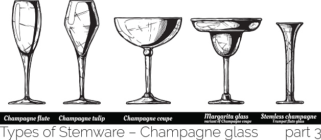 Types of champagne glass. Flute, tulip, coupe, margarita and stemless glasses. illustration of stemwares in vintage engraved style. isolated on white background.