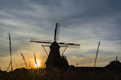 Dutch windmill, small village in North Brabant, mill and corn fields on sunset in summer