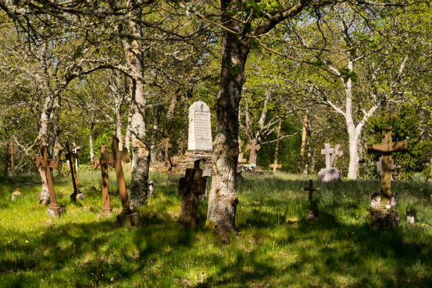 istock Old Historic cemetery with crosses 813274922