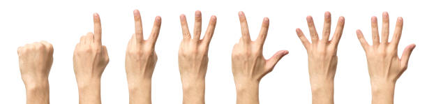 istock Male hands counting from zero to five isolated on white background 813275070