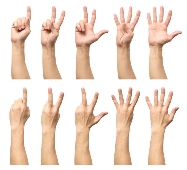 istock Male hands counting from one to five isolated on white background 813275072