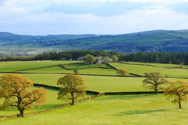 istock Bolton Abbey, North Yorkshire, UK 813278858