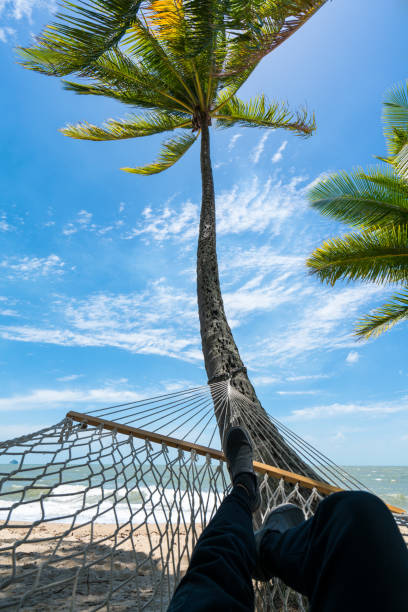 istock Relax in Palm Cove Beach 813291196