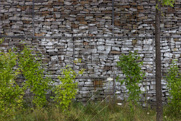 istock Garden Wall with green flora 813293990