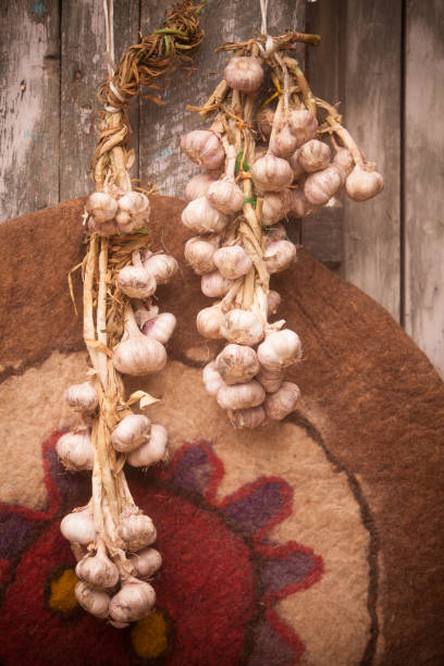 trenzas de ajo colgando - garlic hanging string vegetable fotografías e imágenes de stock