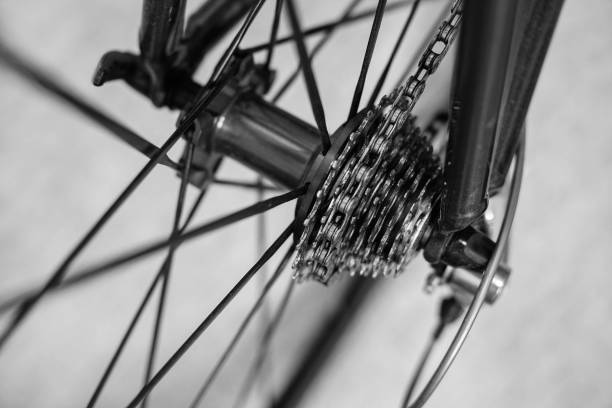 istock rear bicycle wheel in motion 813300854