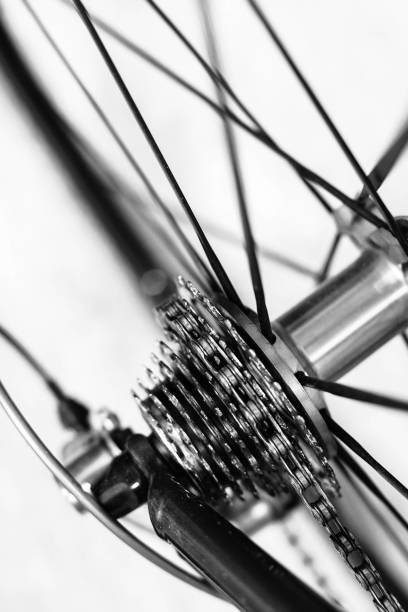 istock rear cassette and spokes of bicycle wheels 813303444