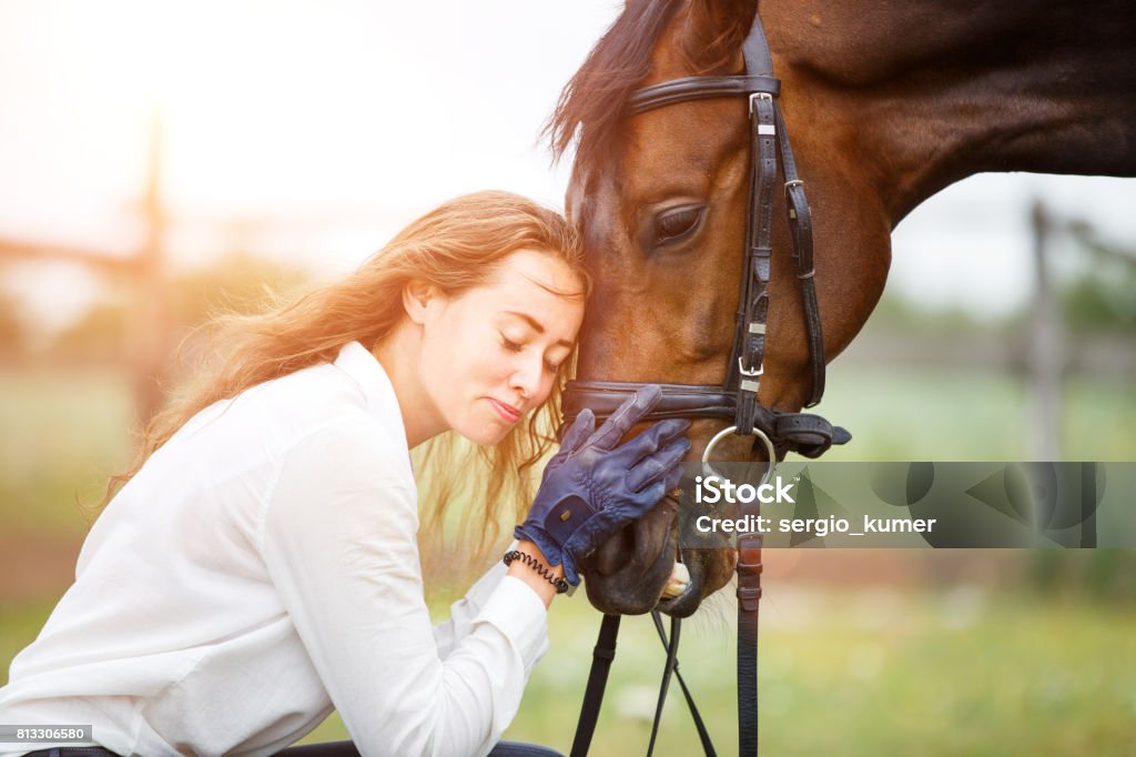 Young rider woman in shirt leaning to horse head Young smiling rider woman in white shirt leaning to horse head. Friendship equine concept background Horse Stock Photo