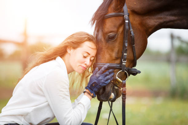 Young rider woman in shirt leaning to horse head Young smiling rider woman in white shirt leaning to horse head. Friendship equine concept background restraint muzzle photos stock pictures, royalty-free photos & images