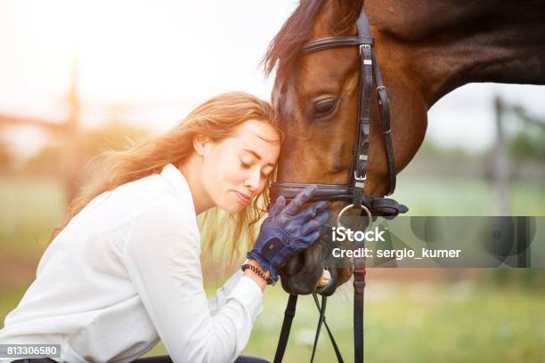 Young Rider Woman In Shirt Leaning To Horse Head Stock Photo - Download Image Now - Horse, Women, Only Women