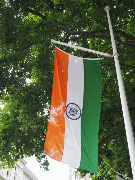 istock Indian Flag of India 813338656