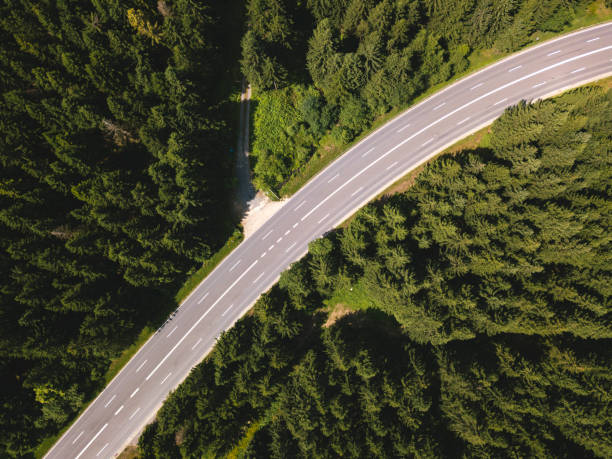 istock Street in the Harz 813338896