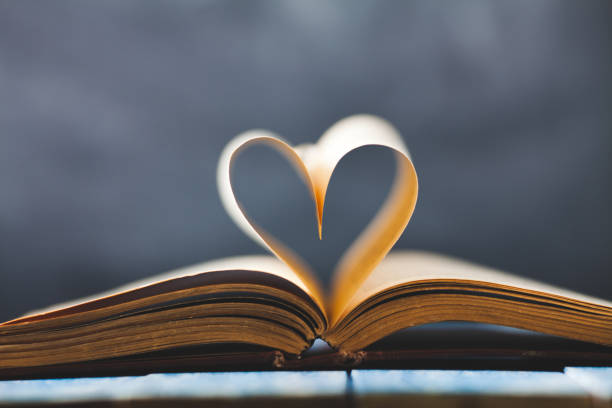 istock Heart shape in open school book pages 813343278