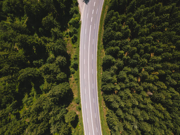 istock Street in the Harz 813351098