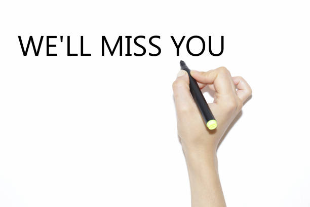 istock Women Hand writing Everyone Has a Story with marker. 813351312