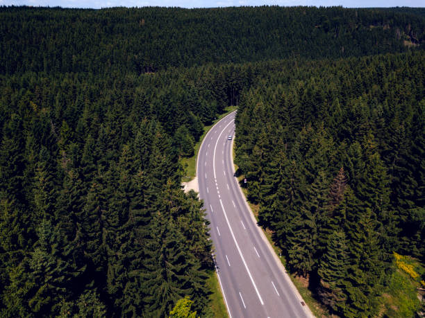 istock Street in the Harz 813351404