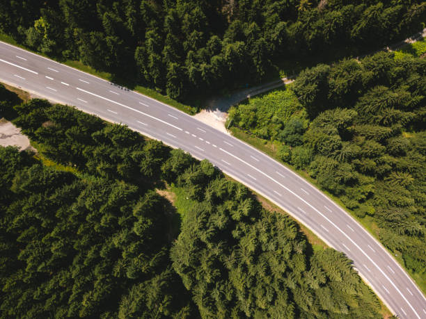 istock Street in the Harz 813351612