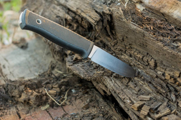 istock The tourist knife is built into a tree. Side view. 813362936