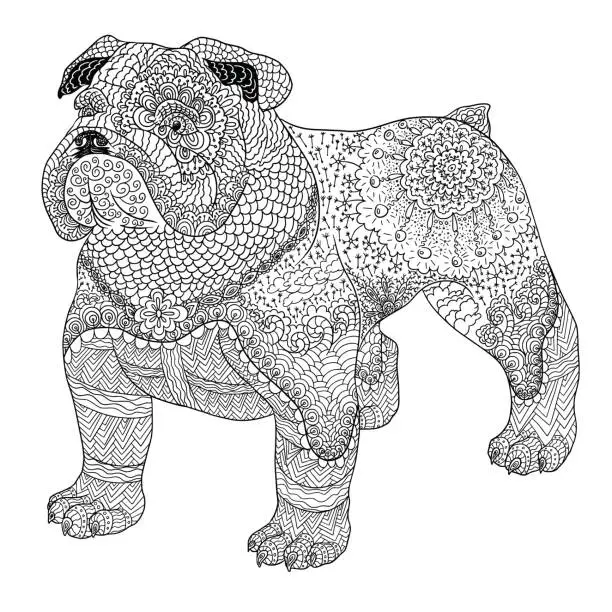Vector illustration of Dog doodle coloring book for adult. Bulldog isolated on white background.