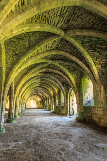 istock Fountains Abbey ruins, North Yorkshire, UK 813365648