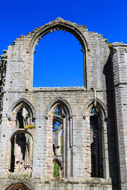 istock Fountains Abbey ruins, North Yorkshire, UK 813366470