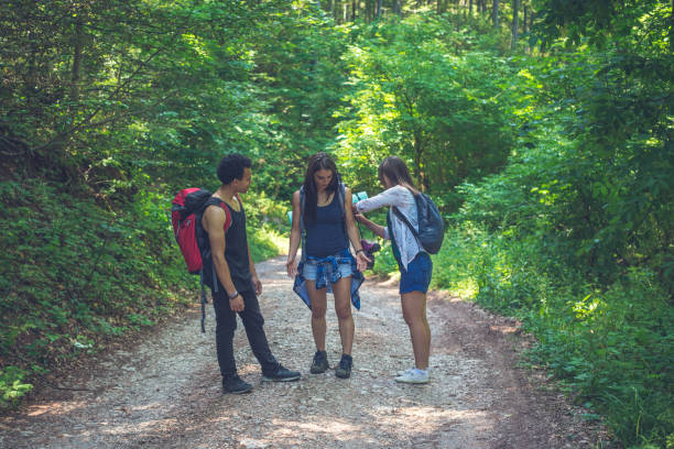 istock Hikers in forest ,on the summer sunny day. 813375150