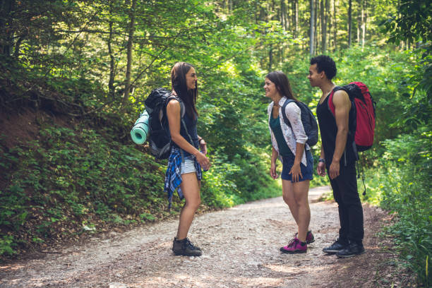 istock Hikers in forest ,on the summer sunny day. 813375160