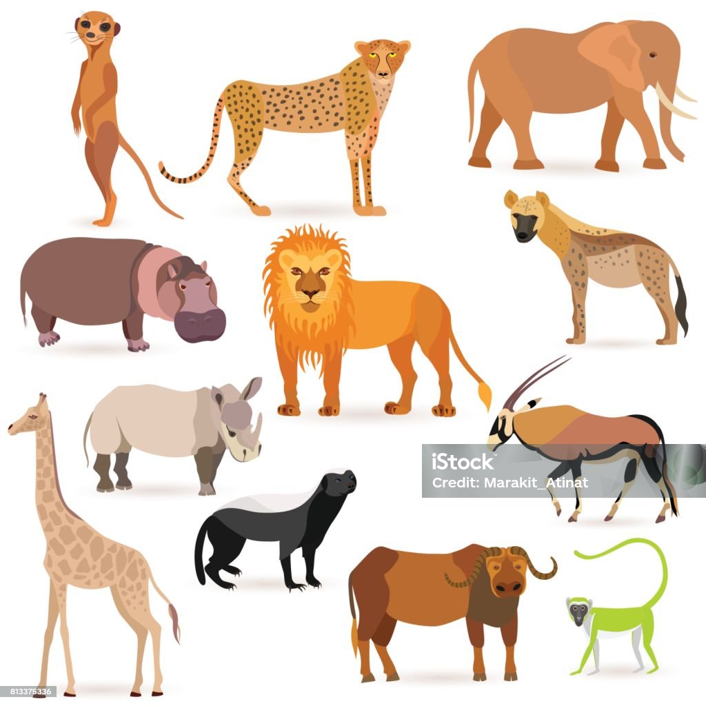 Big Set with African Animals Set with such African Animals as meerkat, cheetah, elephant, lion, hyena, hippopotamus, rhinoceros, giraffe, honey badger, oryx, afrycan buffalo and green monkey Isolated on White Background Honey Badger stock vector