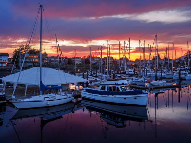 istock Yachts moored at the marina at the sunset 813375680