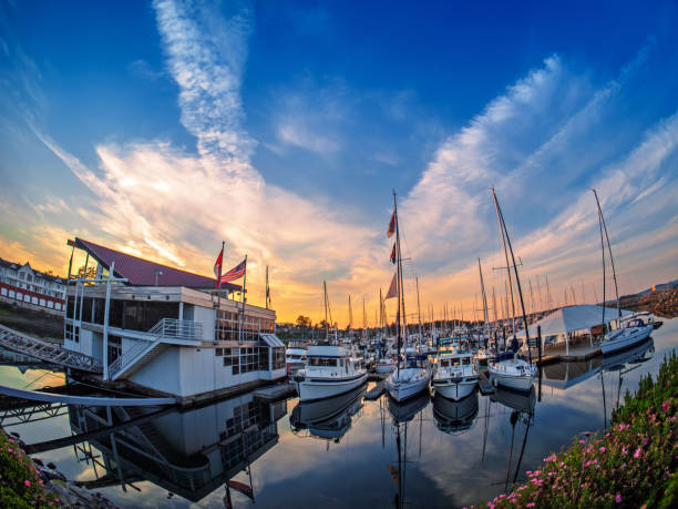 istock Yachts moored at the marina at the sunset 813375682