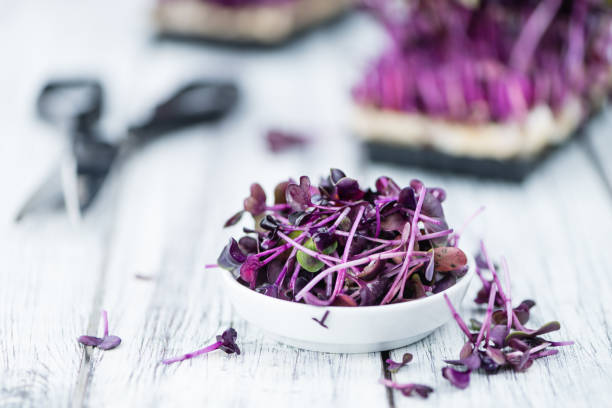 istock Portion of Fresh cutted Cress on wooden background (selective focus) 813402074