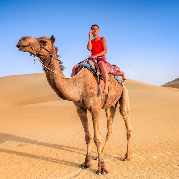 istock Young female tourist using mobile on a camel, Rajasthan, India 813404816
