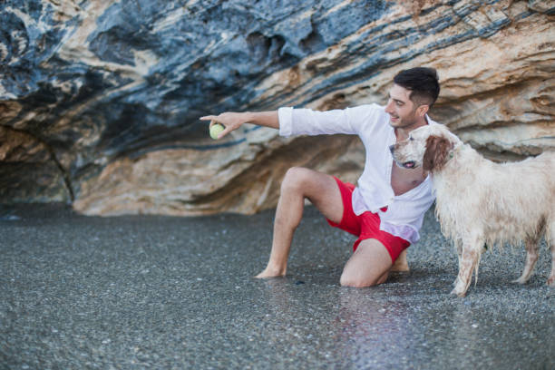 One man and his dog, playing together on the beach.
