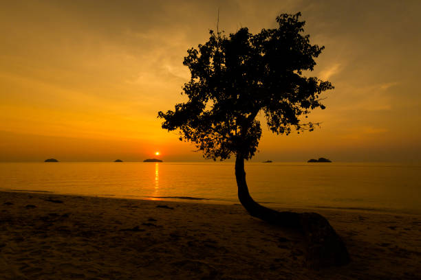 istock Tropical landscape of Koh Chang 813439616