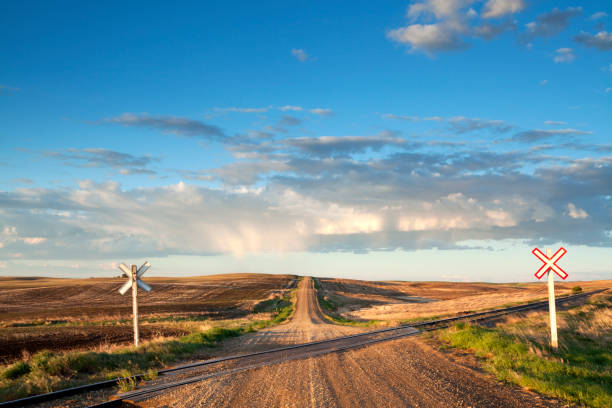 서스캐처원 캐나다 철도 횡단 - saskatchewan country road road prairie 뉴스 사진 이미지