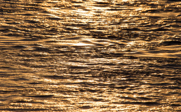 istock Background of the water surface at sunset 813449488