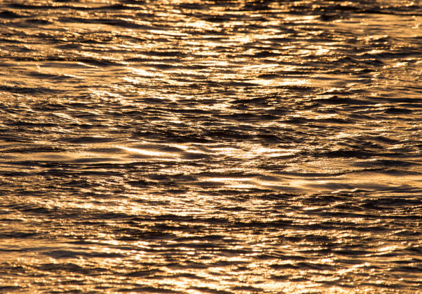 istock Background of the water surface at sunset 813449534