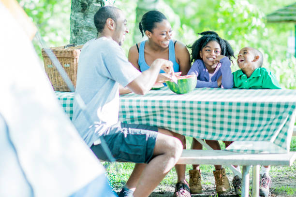 istock Picnic Outdoors 813449870