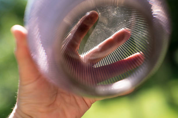istock The abstract: man's hand keeping the glass sphere 813452386
