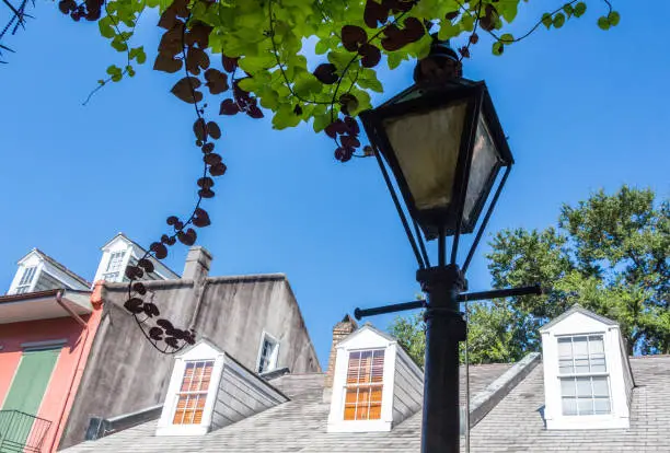 New Orleans Streetlamp with vines hanging from balcony and rooftops in background