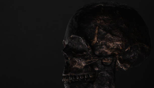 istock Human skull with dark background. Death, horror, anatomy and halloween symbol. 3d rendering. 3d illustration 813480536