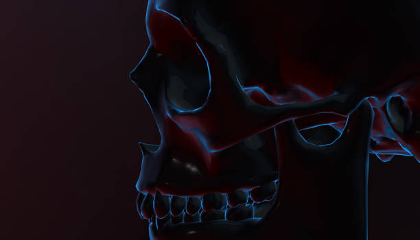 istock Human skull with dark background. Death, horror, anatomy and halloween symbol. 3d rendering. 3d illustration 813480552