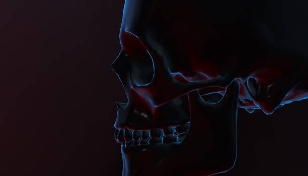 istock Human skull with dark background. Death, horror, anatomy and halloween symbol. 3d rendering. 3d illustration 813480576
