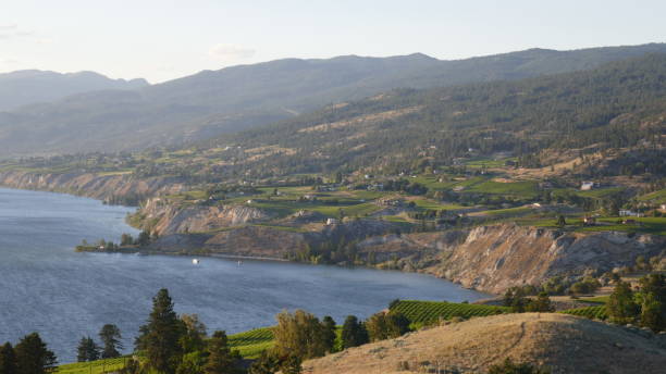 istock Okanagan Lake vineyards 813495142
