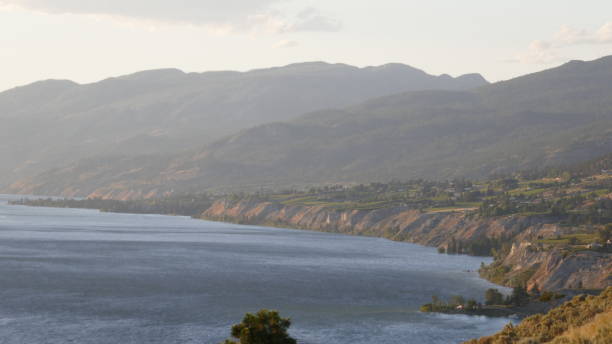 istock Okanagan Lake orchards 813495160