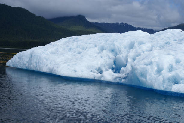 istock Iceberg in Tracy Arm Fjord 813499648