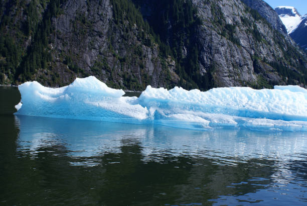 istock Iceberg in Tracy Arm Fjord 813499680